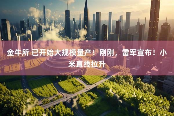 金牛所 已开始大规模量产！刚刚，雷军宣布！小米直线拉升