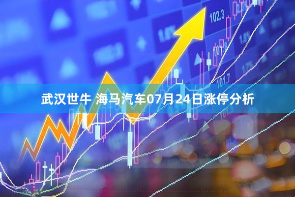 武汉世牛 海马汽车07月24日涨停分析