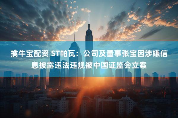 擒牛宝配资 ST帕瓦：公司及董事张宝因涉嫌信息披露违法违规被中国证监会立案